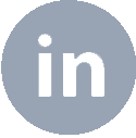 icon linkedin